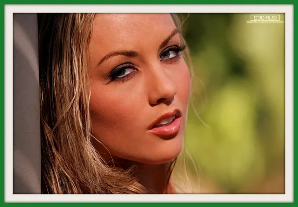 Kayden Kross Canvas | 80812