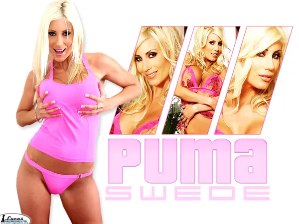 Puma Swede Laminated | 95441