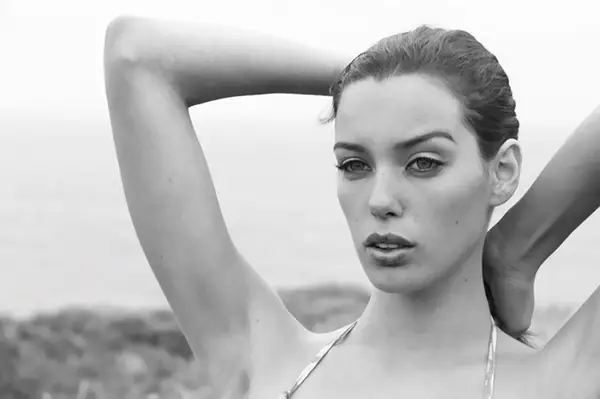 Denise Schaefer Laminated | 42092