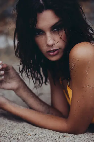 Denise Schaefer Image Jpg | 42185