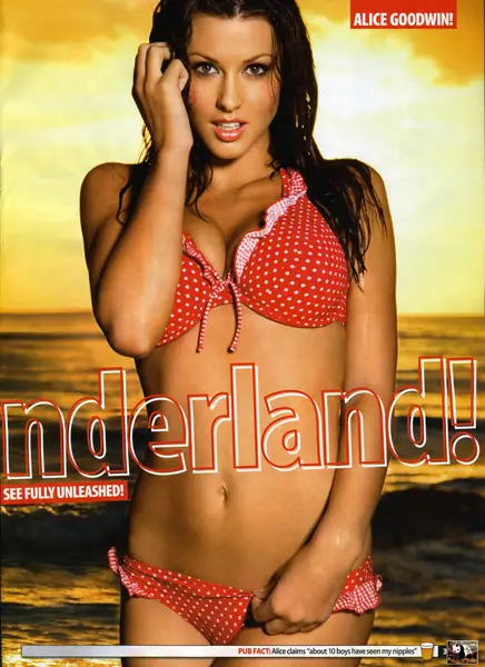 Alice Goodwin Jigsaw Puzzle | 18342