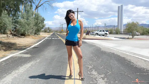 Denise Milani travels Laminated | 22502