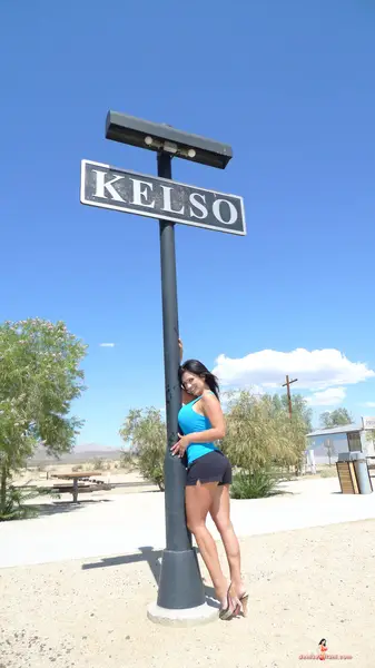 Denise Milani travels | 22505